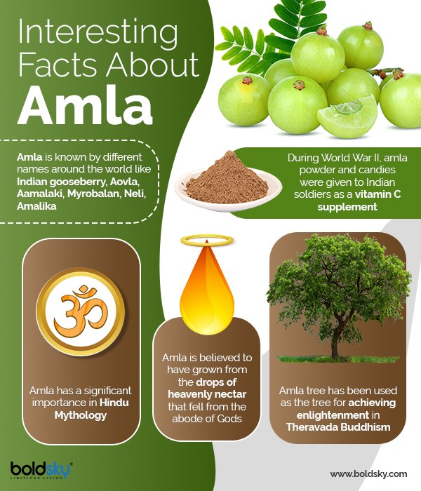 Amla: Benefits For Hair & How To Use in telugu