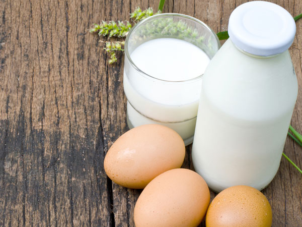  Is it Safe to Consume Eggs and Milk Together? Know The Benefits & Side Effects in Telugu
