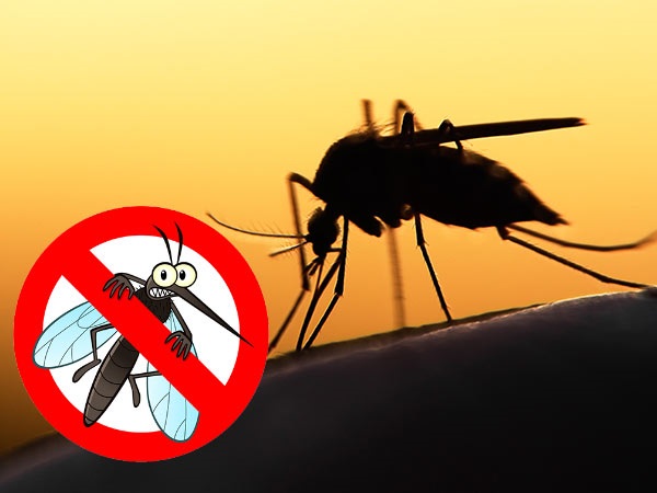 World Malaria Day 2022: Know Malaria Causes, Symptoms, Treatment and Prevention in telugu