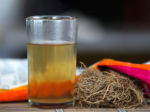 Benefits Of Drinking Khus Sharbat In Summer in telugu