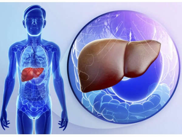 Signs Of Liver Damage From Excess Alcohol Intake in telugu
