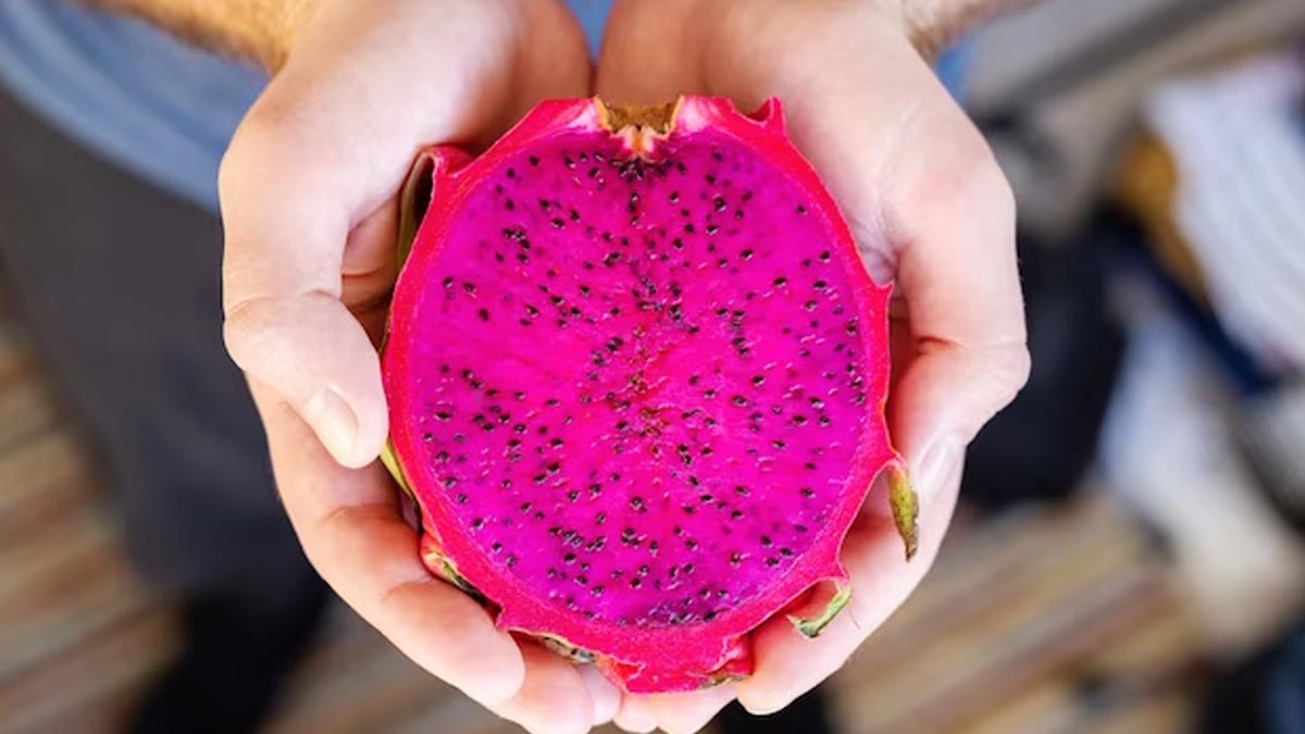 Dragon Fruit Know Nutrition, Health Benefits and How to Eat It in Telugu