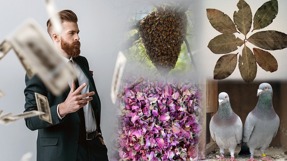 Remove These Things From Your Home To Be Rich Remove These Things From Your Home To Be Rich