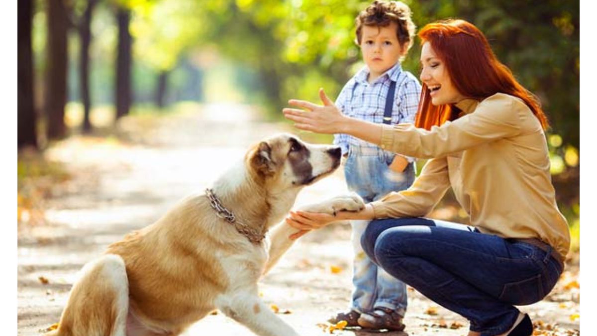 Summer pet Care tips for Puppies