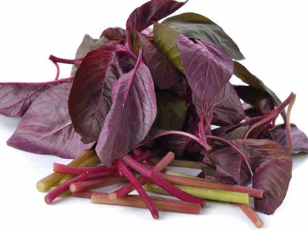Which is better red spinach or green spinach? which one is more nutritious?