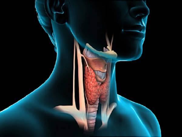 Suffering from hypothyroidism follow these diet tips to manage thyroid in Telugu
