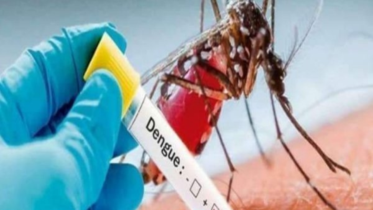 National Dengue Day 2023: What is the latest dengue treatment guidelines by Health Department National Dengue Day 2023: What is the latest dengue treatment guidelines by Health Department