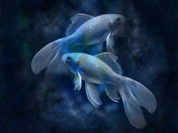 Weekly Horoscope For 04 June 2023 To 10 June 2023 In Telugu