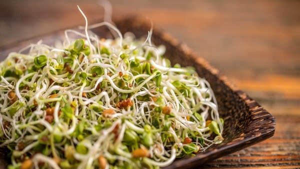 Andhra Breakfast: 6 Best Foods You Must Add to Your Breakfast to Make It Healthy in Telugu