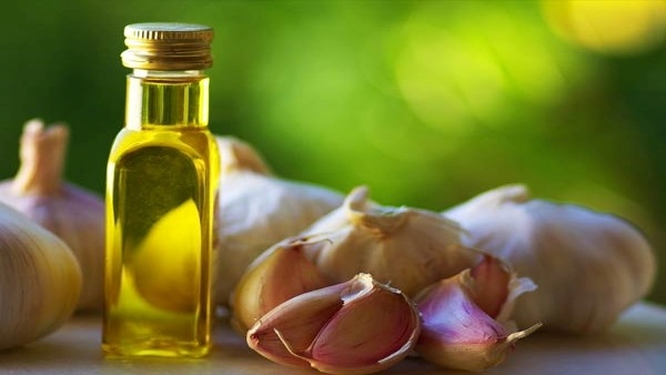 How Does Garlic Really Helps Ear Infection and Earache in Telugu