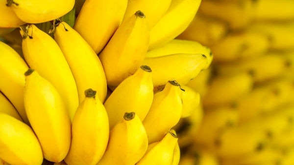 Mango shake or banana shake, which is better for health as per Ayurveda?