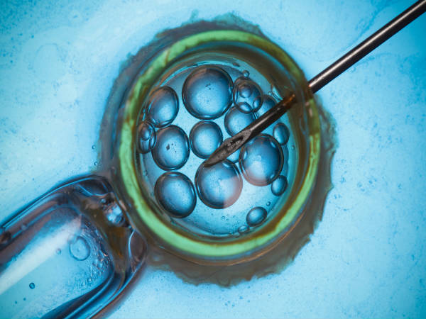 Difference Between Surrogacy And Test Tube Baby: Which Is Better Option in telugu Difference Between Surrogacy And Test Tube Baby: Which Is Better Option in telugu