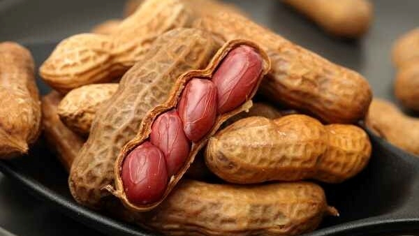 Dry Fruits for Diabetics: Which Nuts Are Good For A Diabetic and Benefits In Telugu