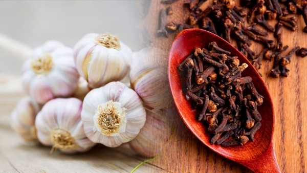 Top 6 Health Benefits Of Eating Garlic With Cloves in telugu 