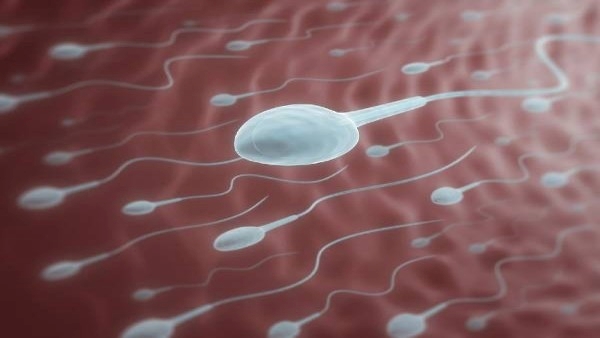 How Does Smoking Affect Sperm and Male Fertility