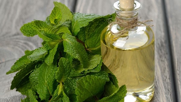 Neck to knee: 6 Best Natural Pain Killers From Your Kitchen To relief