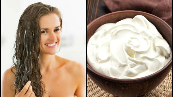Curd Hair Masks To Get Rid of Hair Fall and How to Use It In Telugu Curd Hair Masks To Get Rid of Hair Fall and How to Use It In Telugu