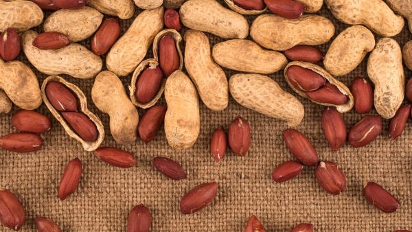 Almonds Vs Peanuts: Almonds and Peanuts Which One Is More Nutrition and healthier in Telugu