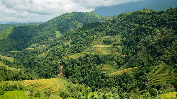 Andhra Ooty: Famous and Beautiful Hill Station Horsley Hills in Andhra Pradesh 