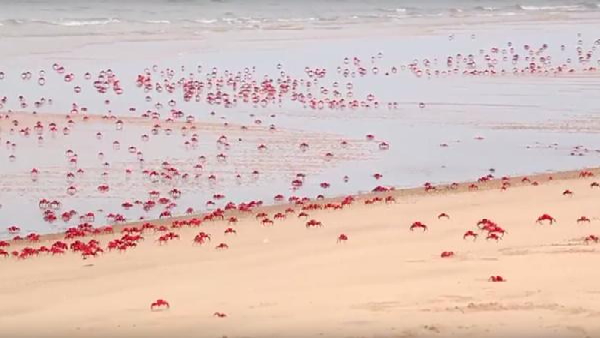 Must Watch Places In AP During Monsoon In Telugu