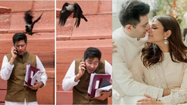 Crow Attacked Raghav Chadha; What Is It Mean What Is The Astrological Significance in Telugu