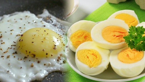 Egg VS Chicken: Which is The Better Protein Source in Telugu