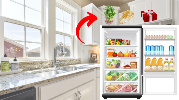 Vastu Tips Never Keep These Items on The Fridge Know In Telugu