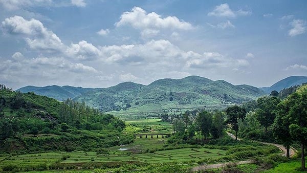  Andhra Pradesh: Lambasingi to Araku Valley Beautiful Hill Stations To Visit With Friends In Andhra Pradesh