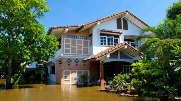 How To Remove Negative Energy From Home Know In Telugu