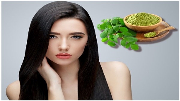 Hair Fall:Try this Moringa Leaves for hair growth, know how to prepare and use in telugu