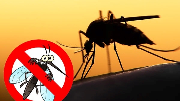 Warning Symptoms Of Severe Dengue Fever In Telugu
