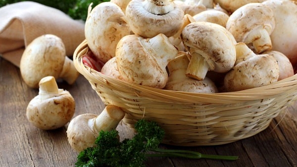 Is It Safe To Eat Mushroom During Monsoon Season, Benefits and side effects In telugu