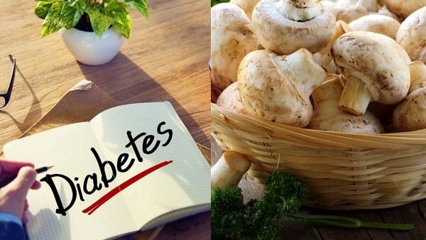 Mushroom For Diabetes: Can diabetes patients eating mushroom health benefits and side effects