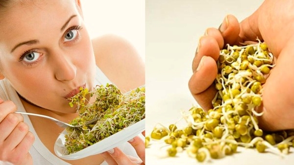 consuming raw sprouts regularly unhealthy for Health, what is the right way to eat them know here