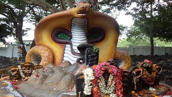 Naga Panchami 2023: If there is Naga Dosha, Sarpa Dosha or Rahu Dosha in your Kundali Effects and Remedies in telugu Naga Panchami 2023: If there is Naga Dosha, Sarpa Dosha or Rahu Dosha in your Kundali Effects and Remedies in telugu