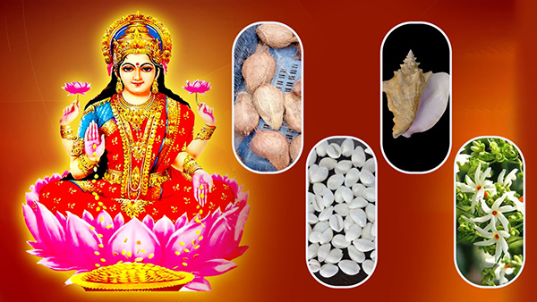 Varamahalakshmi Vratham 2023: Bring These 4 Things on varalakshmi Vrat Day, You will get Blessings From Lakshmi Devi Varamahalakshmi Vratham 2023: Bring These 4 Things on varalakshmi Vrat Day, You will get Blessings From Lakshmi Devi