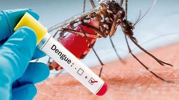 How To Increase Platelet Count Naturally To Fight Dengue In Telugu