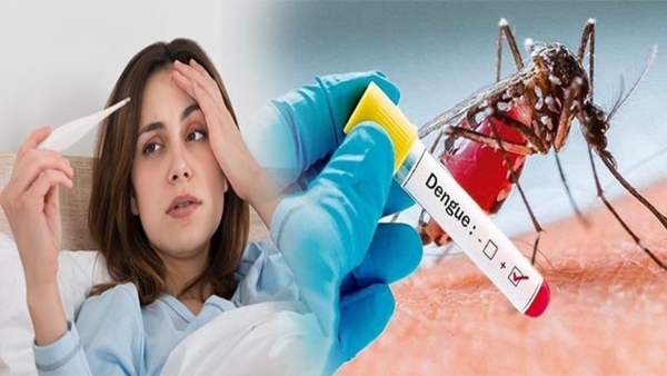 Health FAQ of Dengue Fever know here all answer of dengue fever related questions in Telugu. Health FAQ of Dengue Fever know here all answer of dengue fever related questions in Telugu.