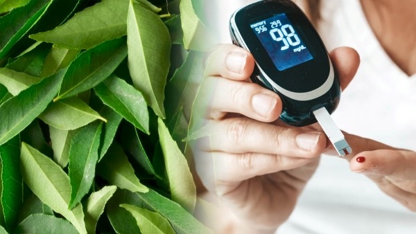 How Curry Leaves Help Manage Blood Sugar Levels in telugu How Curry Leaves Help Manage Blood Sugar Levels in telugu