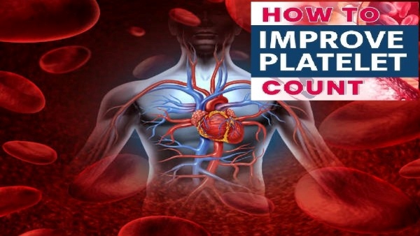 How To Increase Platelet Count Naturally To Fight Dengue In Telugu