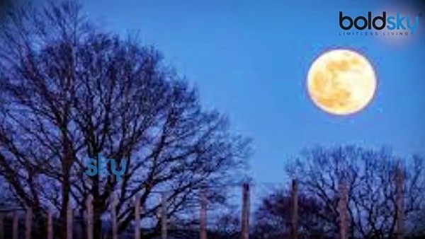 Super Moon August Full Moon In Aquarius: Know the Impact on All Zodiac Signs.