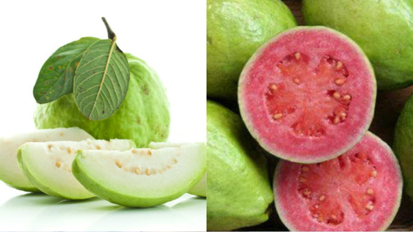 White Or Red Guava Which Is Healthier Know In Telugu