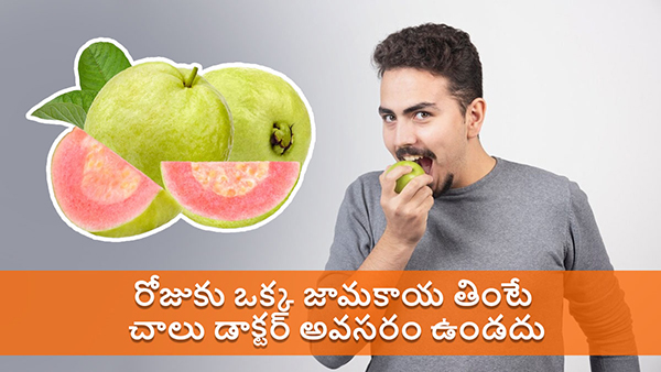 Benefits of Eating One Guava Daily You Need To Know About in telugu Benefits of Eating One Guava Daily You Need To Know About in telugu