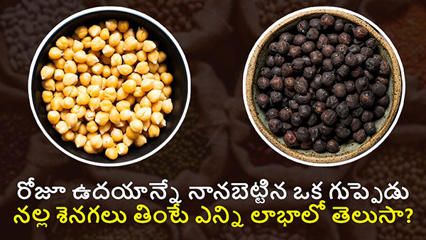 Top 10 Benefits Of Eating Soaked Chickpeas or Black Chana in The Morning In Telugu