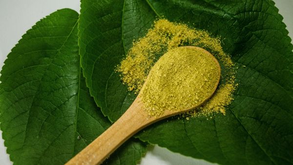 Neem Benefits for Skin and Way to Use Neem For Acne Removal in Telugu Neem Benefits for Skin and Way to Use Neem For Acne Removal in Telugu