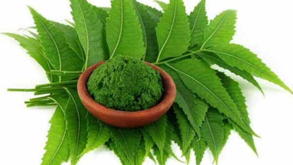 Neem Benefits for Skin and Way to Use Neem For Acne Removal in Telugu Neem Benefits for Skin and Way to Use Neem For Acne Removal in Telugu