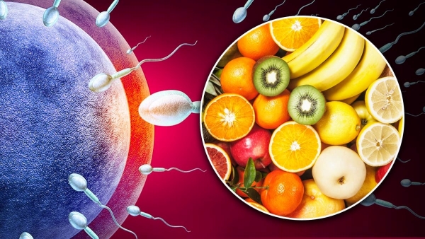 Best Fruits To Increase Male Fertility In Telugu