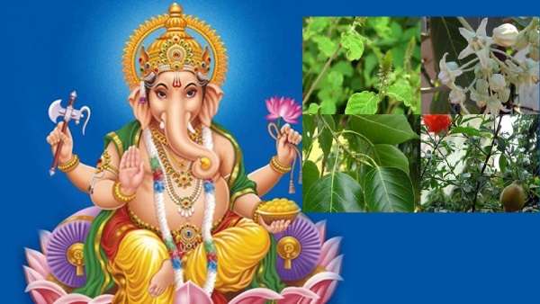 Ganesh Chaturthi 2023: 21 Types of Patra-Patri used in Ganesh Puja in Telugu