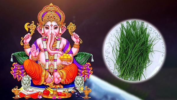 Ganesh Chaturthi 2023: Why Lord Ganesha Loves Modak and Importance of keeping 21 Modak? in telugu Ganesh Chaturthi 2023: Why Lord Ganesha Loves Modak and Importance of keeping 21 Modak? in telugu