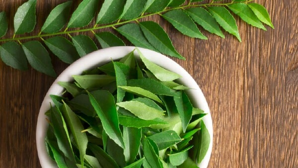  Home Made Hair Pack: Henna and Curry Leaves Hair Pack For Hair Loss in telugu